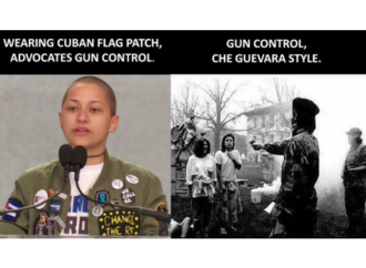 Gun Control Che Guevera Style