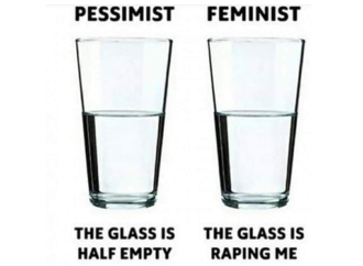 Pessimist Vs Feminist