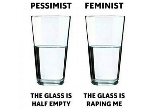 Pessimist Vs Feminist