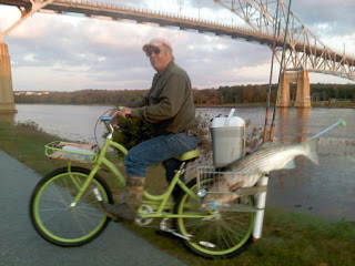 fish bicycle