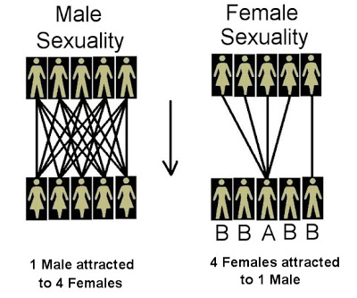 male female graph