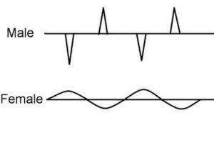 male female graph