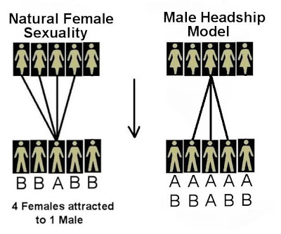 male-female-graph
