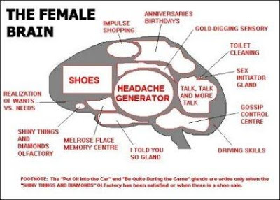 the female brain